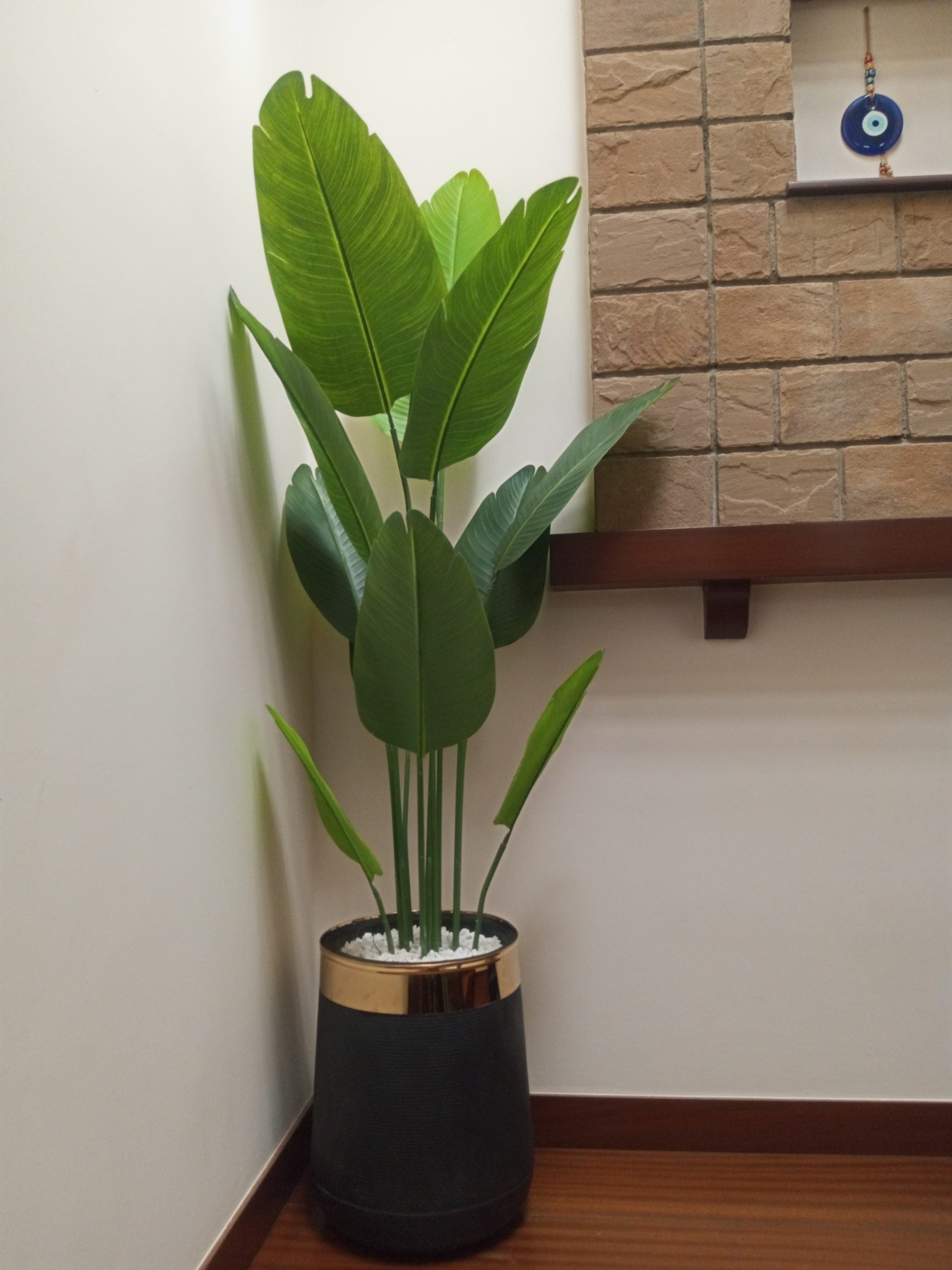 BANANA PLANT WITH POT